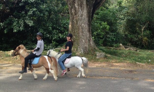 OutPost 65: Intro to Bukit Brown