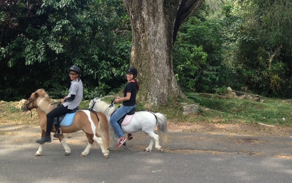 OutPost 65: Intro to Bukit Brown