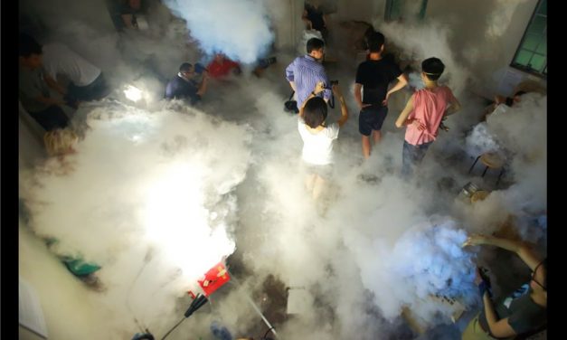 Food, Lions, and Zombies