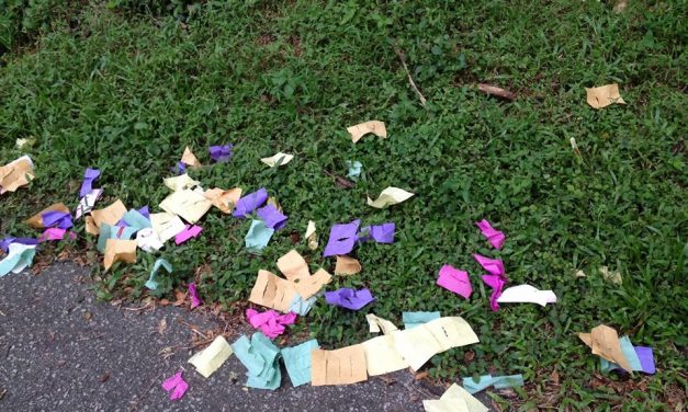 OutPost 67: Intro to Bukit Brown